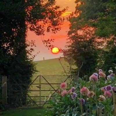 皇冠体育下载地址