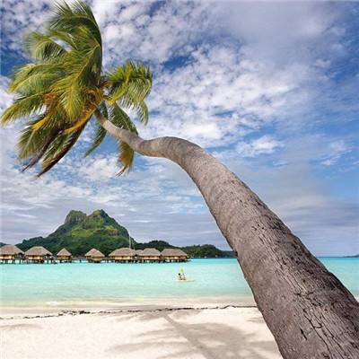 BOB体育APP官方下载