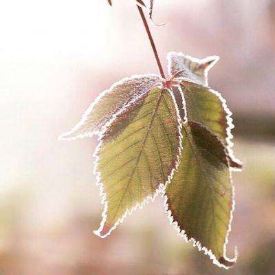 澳门黄金城下载手机版